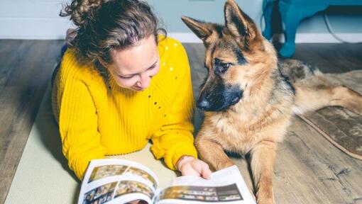 Duitse herder pup met de eigenaar