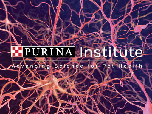 Purina instituut logo