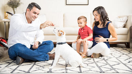 familie en kind spelen met puppy