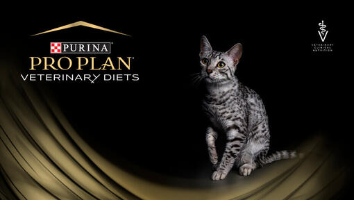 PURINA PRO PLAN Veterinary Diets Kat​