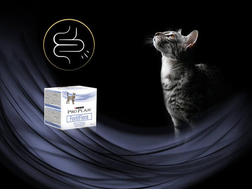 PURINA PRO PLAN FortiFlora®​