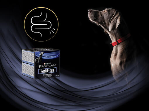 PURINA PRO PLAN FortiFlora®