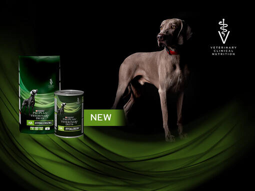 PURINA PRO PLAN HA Hypoallergenic
