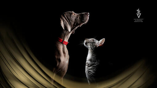 Purina PRO PLAN Veterinary Diets Hond en Kat