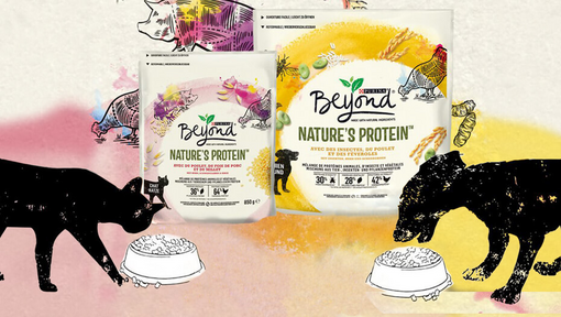 Beyond® Nature’s Protein