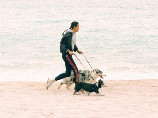 vrouw met honden op het strand