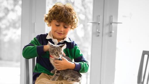 jongen met kitten op schoot