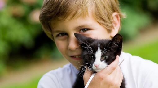 jongen met zwarte kitten in zijn armen