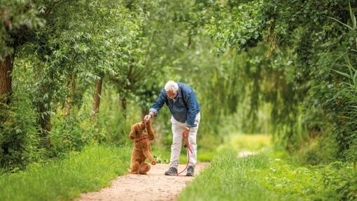 man aait hond in het park