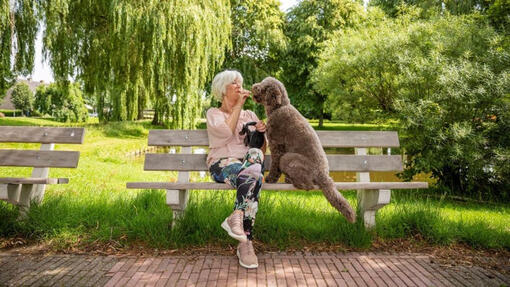 vrouw zit met hond op een bankje