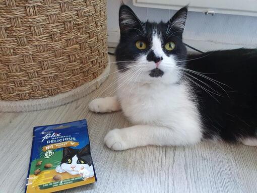 Kat kijkt naar Felix snacks