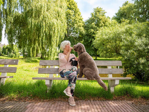 vrouw zit met hond op een bankje