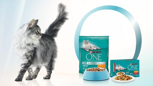 purina one innovatie