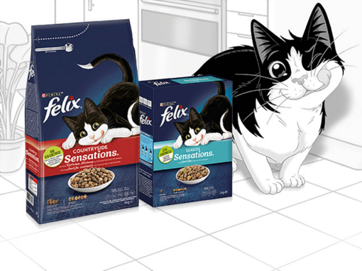 Pijnstiller Verouderd Uitdrukkelijk FELIX® onweerstaanbaar lekker kattenvoer en snacks | Purina