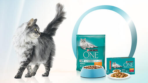 Purina ONE kat droogvoer en natvoer