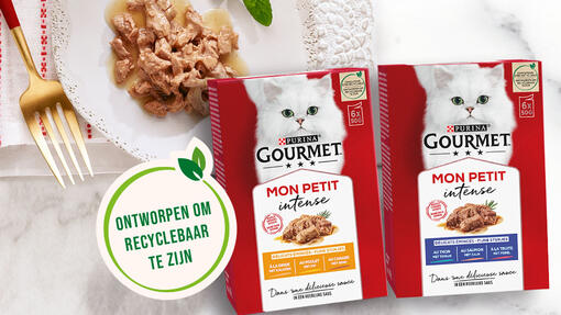 Purina Gourmet Mon Petit Intense