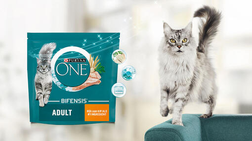 Purina ONE microbioom kattenvoer banner