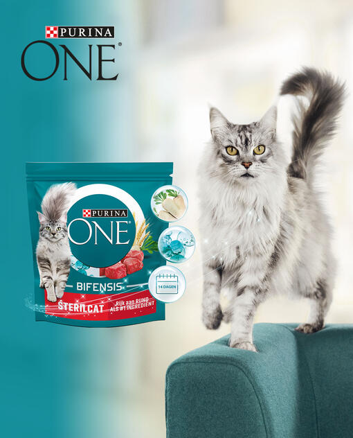 Purina ONE microbioom kattenvoer banner