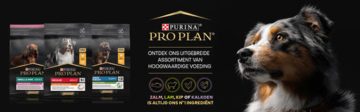 Ontdek het Pro Plan Assortiment Banner 2000x625.jpg