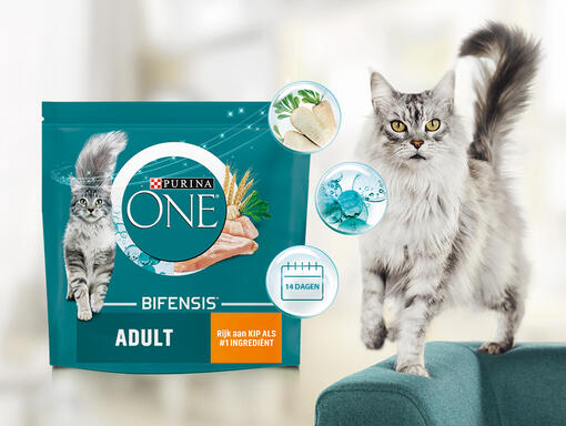 Purina ONE bifensis kat droogvoer en natvoer