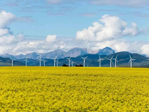 Hernieuwbare elektriciteit