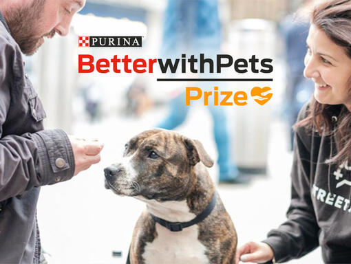 Winnaar van de Better with Pets prijs van Purina