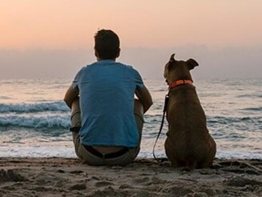 Man en zijn hond zittend op een strand