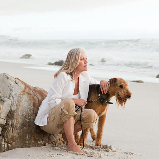 Airedale Terriër op het strand met een persoon