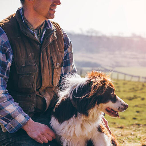 Border Collie ligt buiten naast zijn baasje