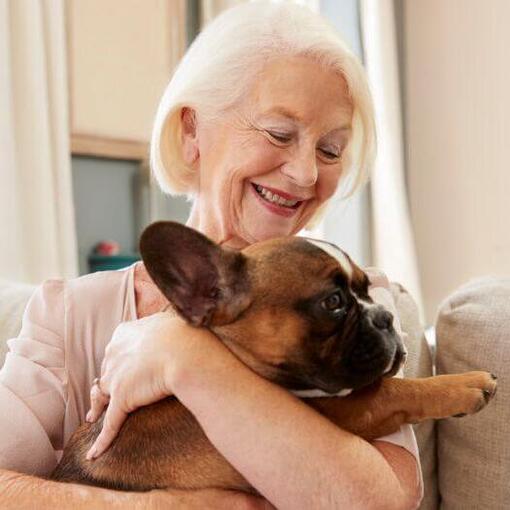 Franse Bulldog in de armen van een vrouw