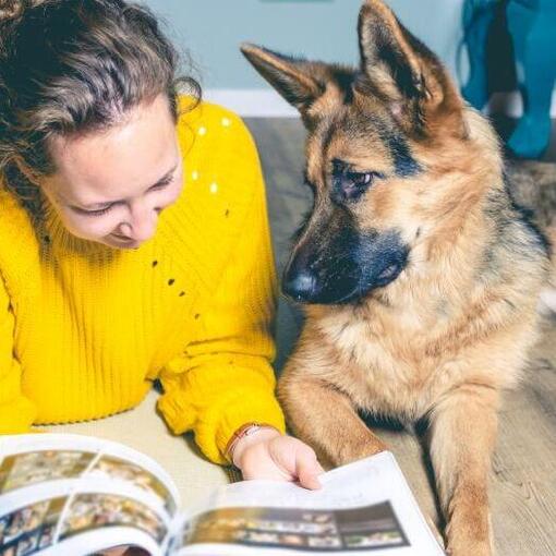 Duitse Herder puppy met de eigenaar