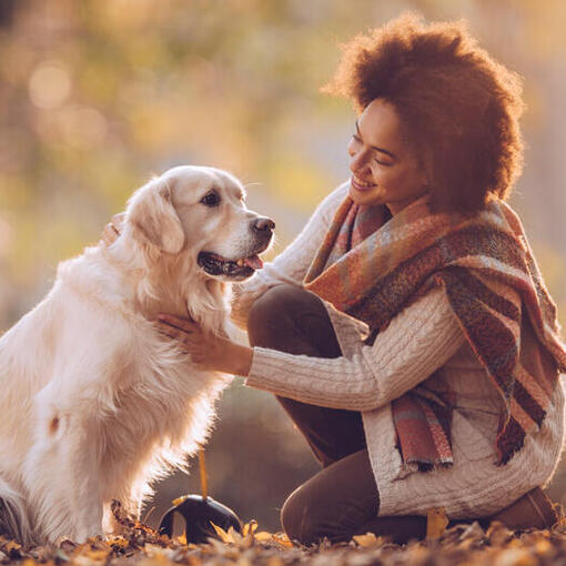 vrouw met golden retriever in het park