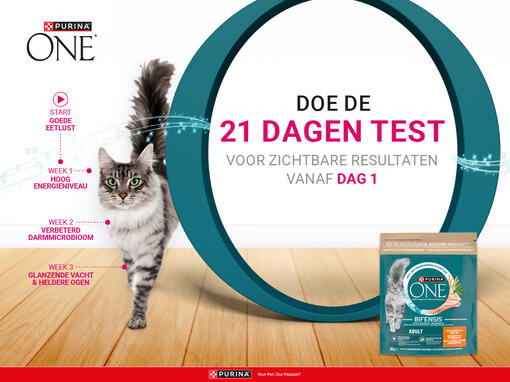 21 Dagen Test
