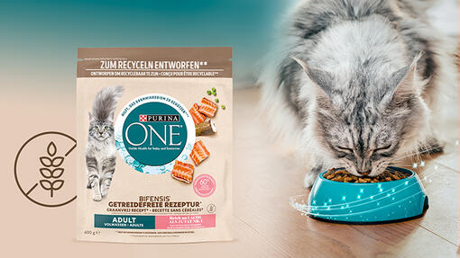 Bifensis® Graanvrij: Nieuw product in ons ​Purina ONE® Bifensis® assortiment