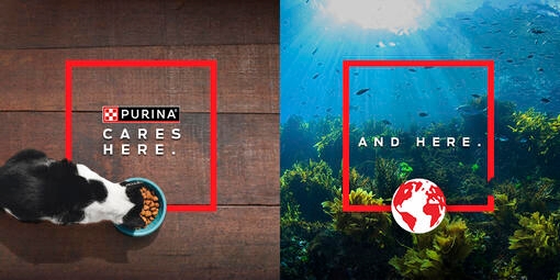 Purina Europees Oceaan Restoratie Programma