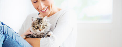 Tips voor kattenpensions en kattenoppas aan huis