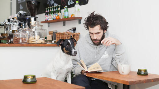 Quiz - Welk hondenras ben jij?