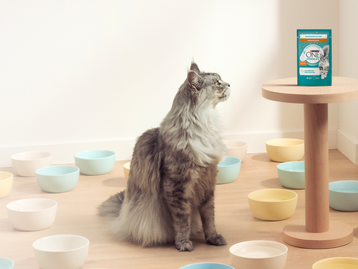 Maak hydratatie makkelijk met Purina ONE® HYDRALIFE™