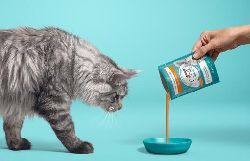 ZICHTBARE GEZONDHEID VOOR VANDAAG EN MORGEN