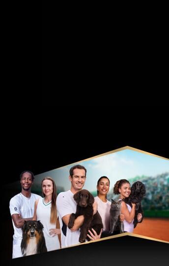 Hond op zwarte achtergrond