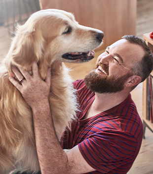 Purina Dog