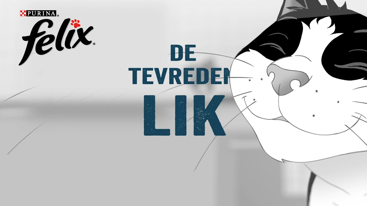Felix kenmerken van smaak - De lik