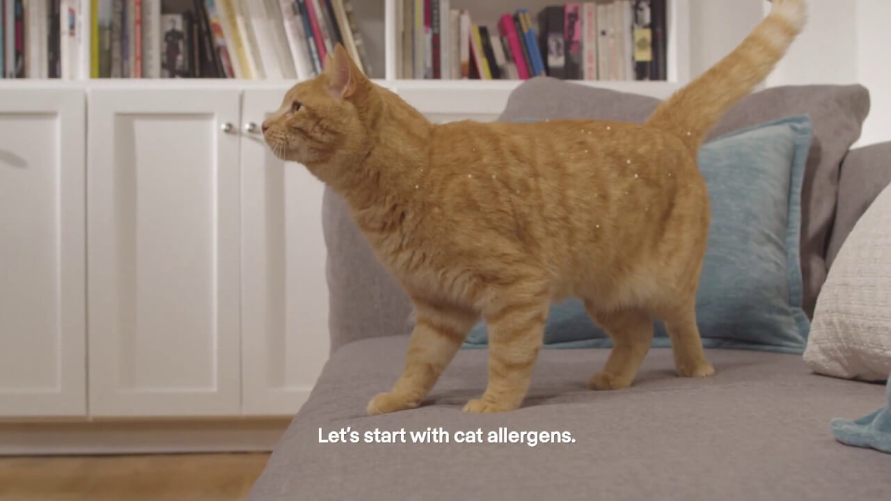 DE EERSTE ALLERGEEN-REDUCERENDE KATTENVOEDING
