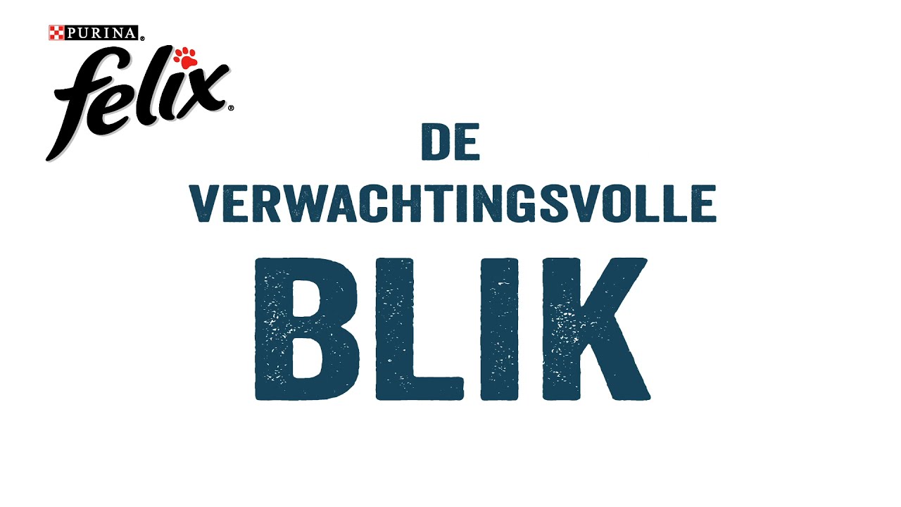 Felix kenmerken van smaak - De verwachtingsvolle blik